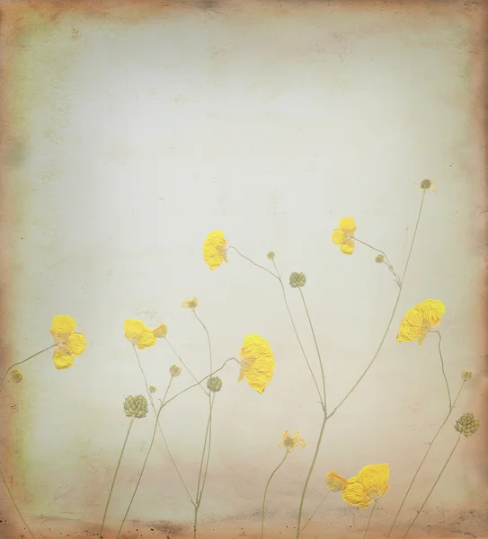 Fleurs fond — Photo