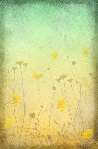Tło kwiatów — Zdjęcie stockowe