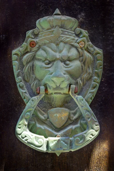 stock image Door handle and door knocker with lion head