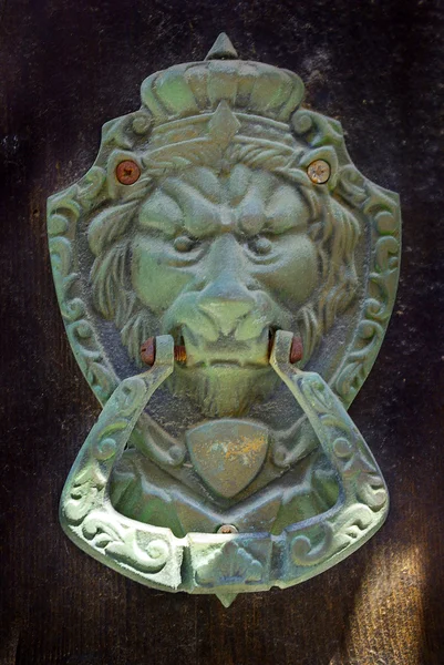 Stock image Door handle and door knocker with lion head