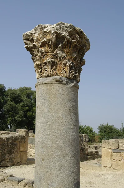 stock image Ancient greek ionic column