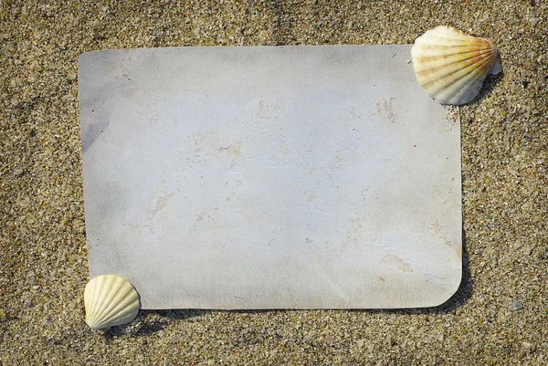Coquilles de mer avec du papier et du sable comme fond — Photo