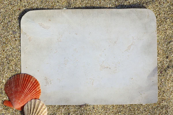 Tengeri kagyló, a papír és a homok, mint háttér — Stock Fotó