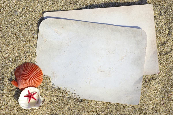 Tengeri kagylók homokkal, mint háttér — Stock Fotó