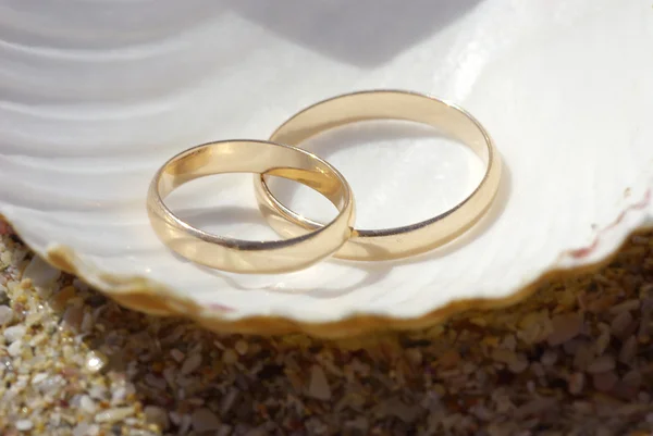 Dois anéis de casamentos na casca — Fotografia de Stock