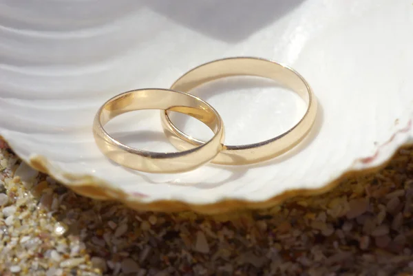 stock image Two weddings rings on shell