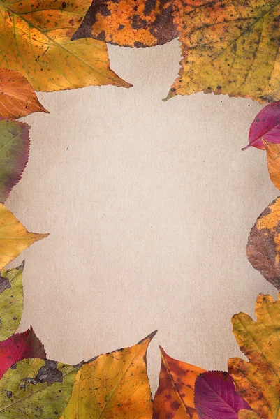 Autumn leaves frame — Stock Photo, Image