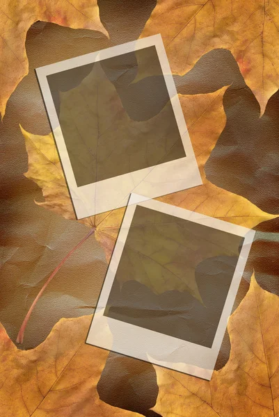 Zwei Rahmen auf Herbstblättern — Stockfoto