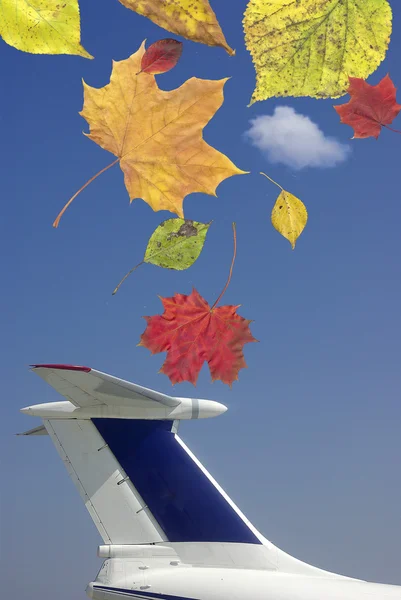 Höstens resa med flygplan — Stockfoto