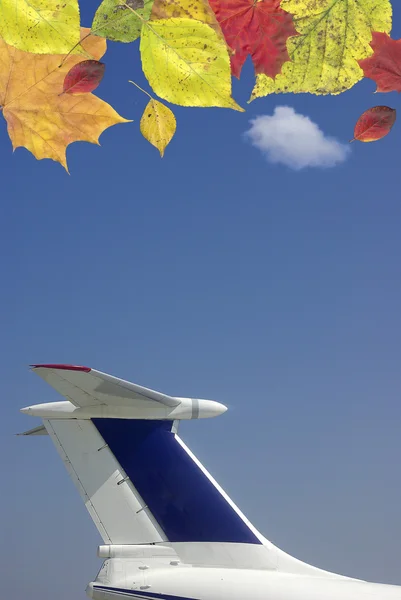 飛行機で秋の旅行 — ストック写真