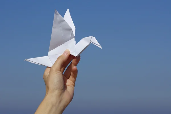 stock image Paper airplane in a hand