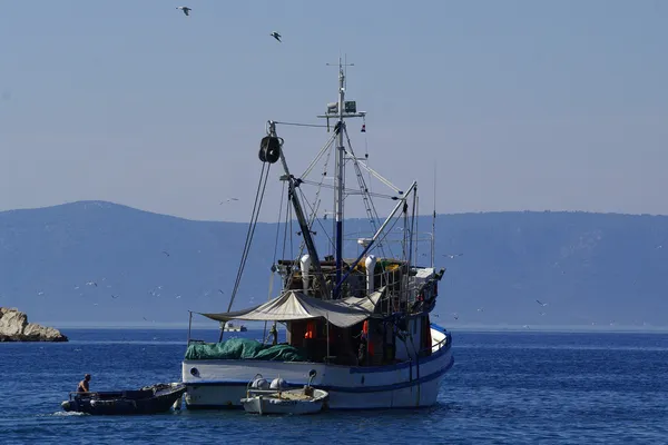 Barco de pesca e gaivotas — Fotografia de Stock