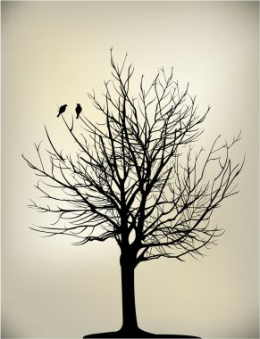 2 birds on tree clipart