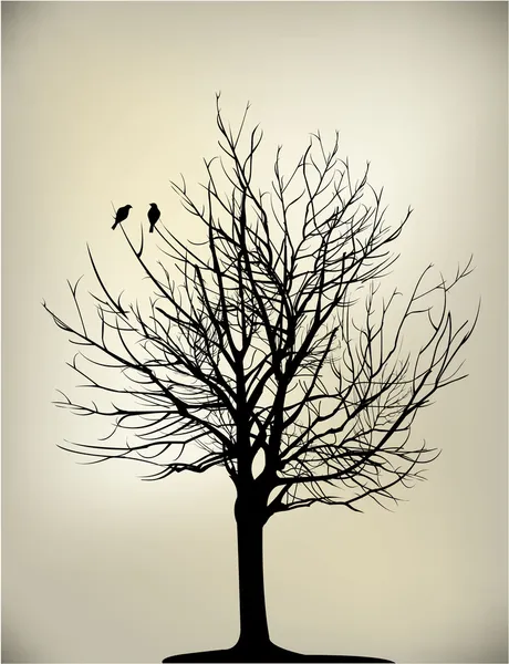 2 pájaros en el árbol — Vector de stock