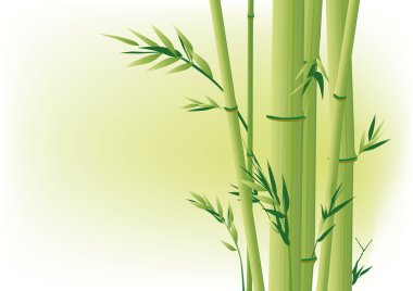 Bamboo clipart