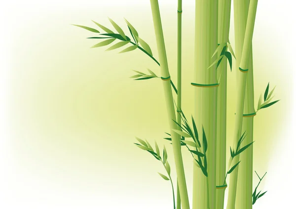 Bambú — Archivo Imágenes Vectoriales