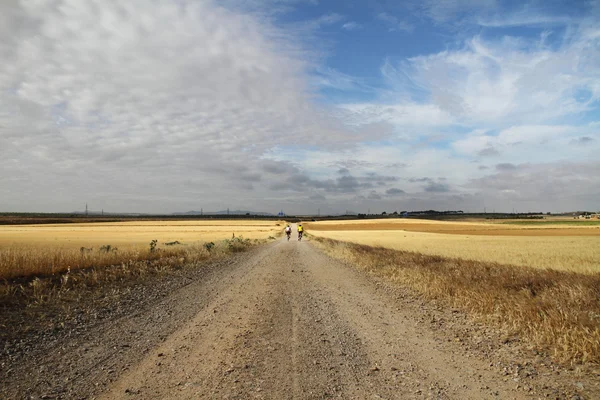 stock image Cyclists on rural road