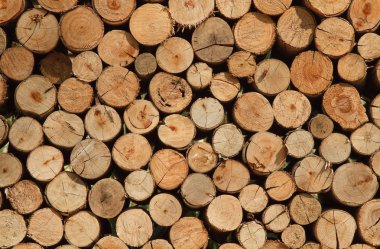 Background of Dry Firewood Logs clipart