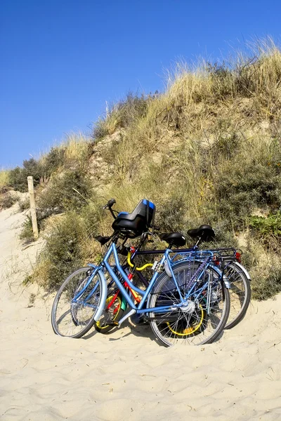 Three bicycles parked against sand dunes — Stock Photo, Image