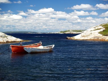 Peggy'nin Cove