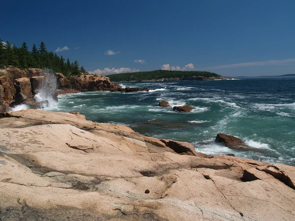 Parc national Acadia, baie Frenchman's 1 — Photo