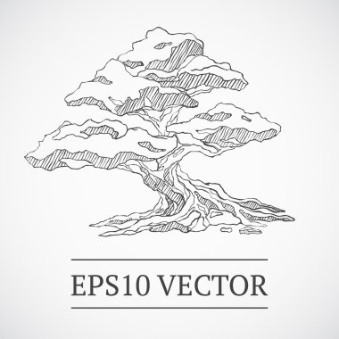 Sketched vintage bonsai tree clipart