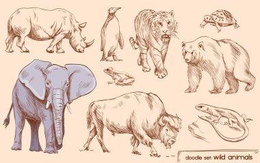 Doodle set: wild animals clipart