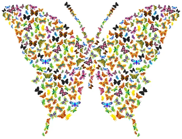 Vlinder van vlinders — Stockvector