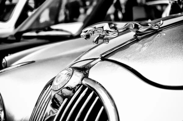 PAAREN IM GLIEN, ALEMANIA - 26 DE MAYO: El emblema del coche Jaguar (Blanco y Negro), "The oldtimer show" en MAFZ, 26 de mayo de 2012 en Paaren im Glien, Alemania — Foto de Stock