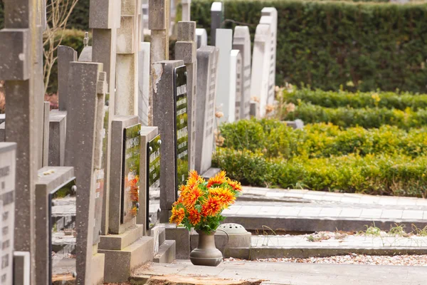 mezar taşındaki taze çiçekler