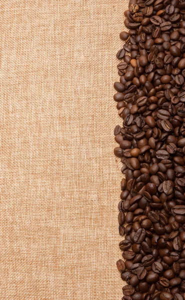 Kávová zrna v řadě na pozadí plátno — Stock fotografie