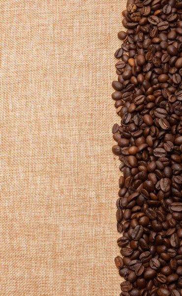 Coffee beans in a row on a canvas background