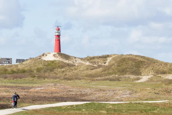 Hollandalı Adası Schiermonnikoog peyzaj