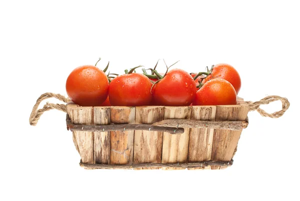Świeże pomidory na winorośli w kosz drewniany — Zdjęcie stockowe
