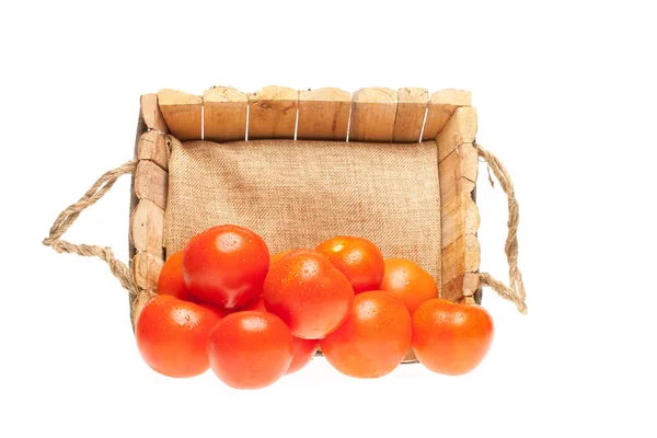 新鲜番茄来一木篮 — 图库照片
