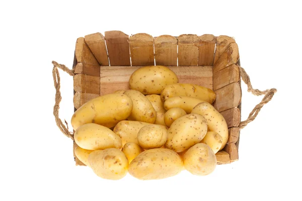Bunch of freshly harvested potatoes coming out a wooden basket — Stock Photo, Image