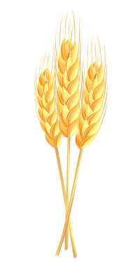 Sheaf of wheat ears clipart