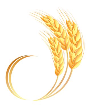 Wheat ears icon clipart