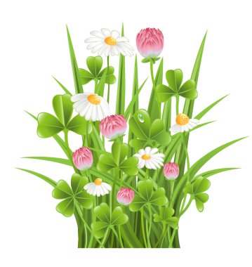 Green grass with clover and camomile flowers clipart