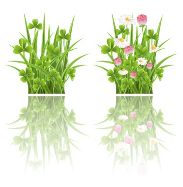 Green grass with clover and camomile flowers clipart