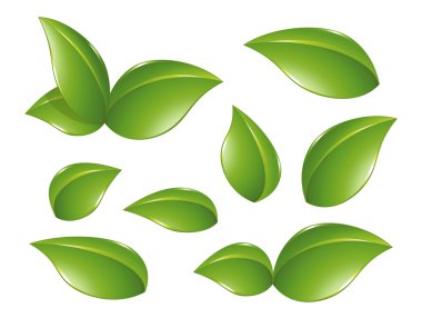 Nature design element clipart