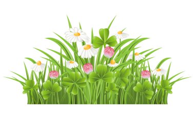 Green grass with clover and camomile flowers clipart