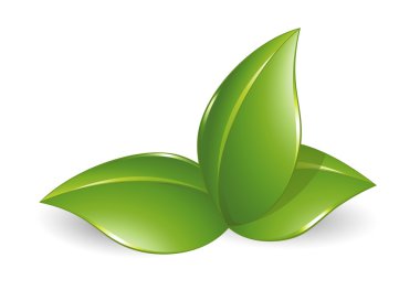 Nature design element, green leafs clipart