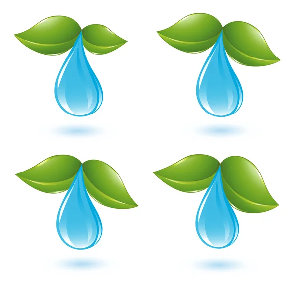 Water drop with leafs — Stock Vector