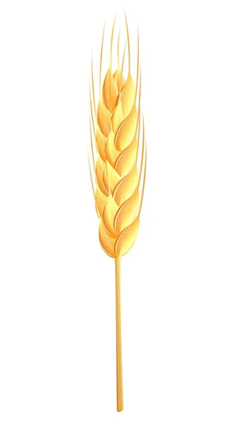 stock vector Wheat ear