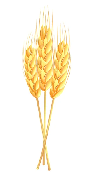 Hoja de espigas de trigo — Vector de stock
