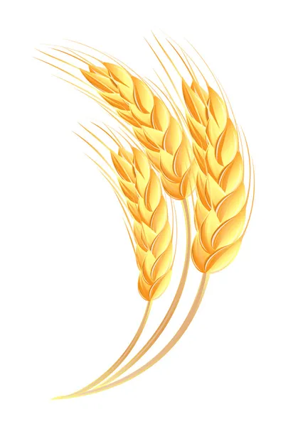 Icona delle orecchie di grano — Vettoriale Stock
