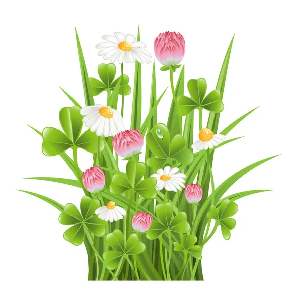 Grönt gräs med klöver och kamomill blommor — Stock vektor