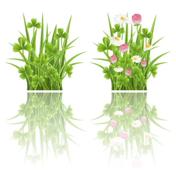 Grama verde com trevo e flores de camomila — Vetor de Stock