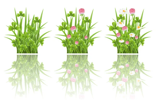 三叶草和甘菊鲜花与绿草 — 图库矢量图片